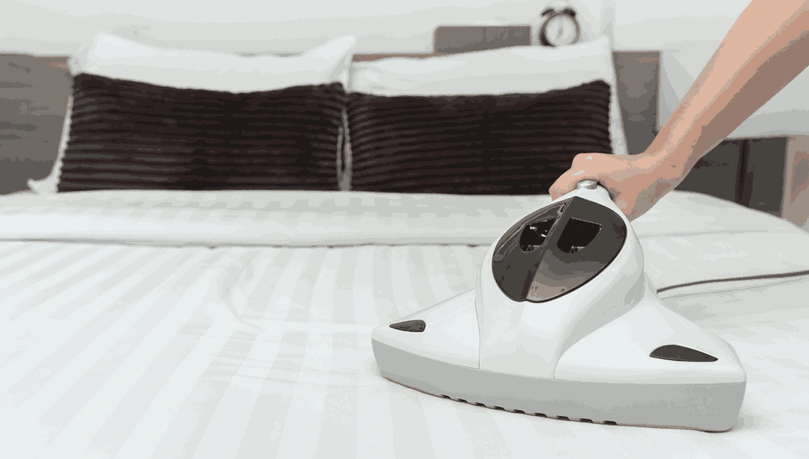 Professional Mattress Cleaning Quandong